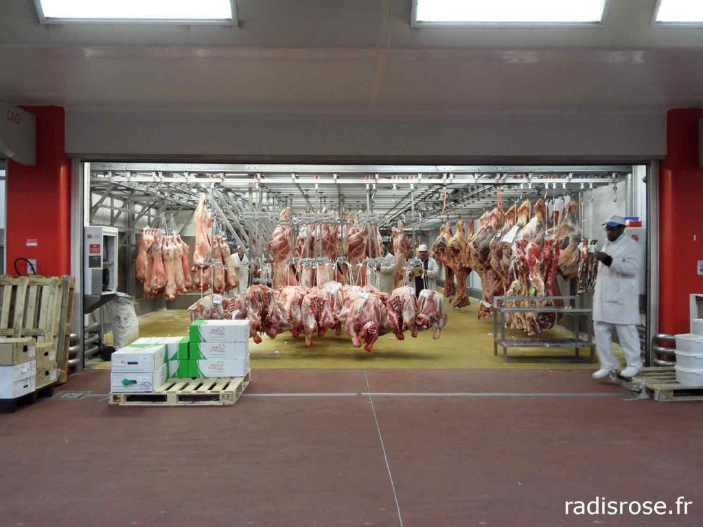 pavillon-viande-marche-rungis-radis-rose-5