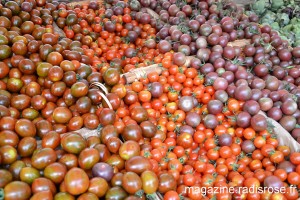 tomates colorées Joël Thiébault