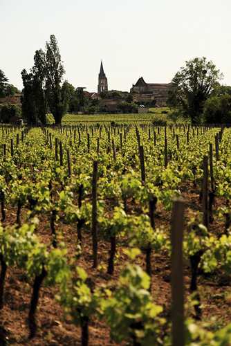 le vin patrimoine de la France