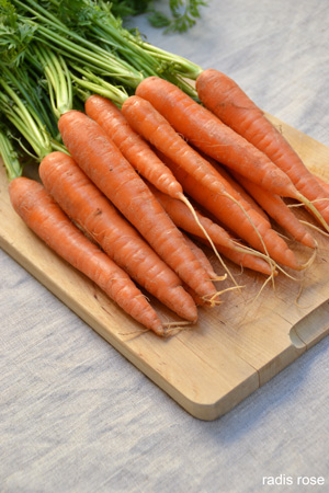 Soupe de carotte miel gingembre