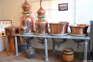 visite de la distillerie du Noyau de Poissy par radis rose