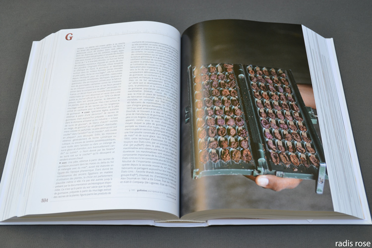 Livre Encyclopédie du chocolat et de la confiserie comme idée de cadeau pour Noël