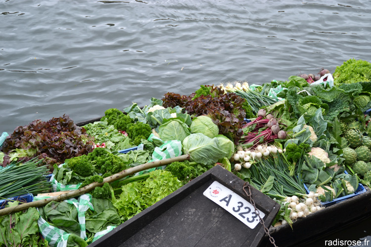 Le marché sur l’eau des hortillonnages à Amiens. Des barques remplies de légumes et fleurs viennent accoster sur le quai Bélu par radis rose