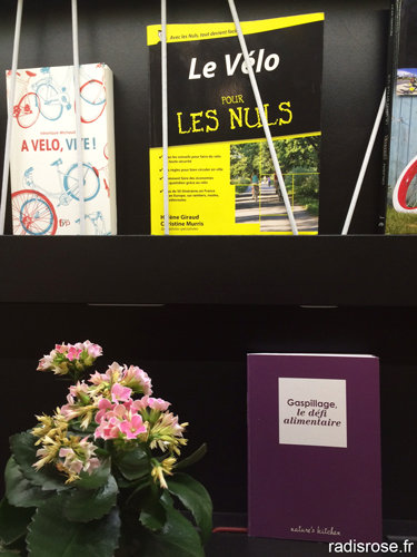 Des balades en vélo dans Paris insolites et gourmandes avec la Maison Velib Exki par radis rose