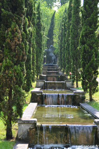 Au cœur de Chantilly, le Potager des Princes, classé Jardin Remarquable, est un jardin composé d’un potager, d’un verger et d’un magnifique parc animalier par radis rose