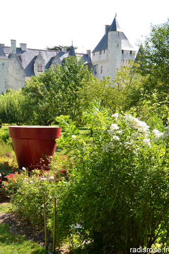 Le château du Rivau, situé près de Chinon, fait partie des châteaux de la loire. On y visite un château médiéval, un potager, classé conservatoire des anciennes variétés de légumes de la Centre, et de très jolis jardins classés jardin remarquable par radis rose.