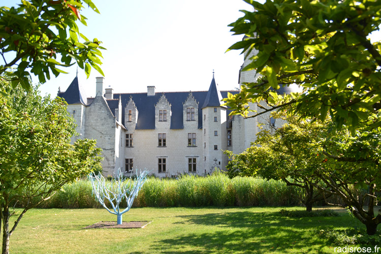 Vin de Chinon du château du Rivau. Le château du Rivau, situé près de Chinon, fait partie des châteaux de la loire. On y visite un château médiéval, le potager de Gargantua, classé conservatoire des anciennes variétés de légumes de la Centre, et de très jolis jardins classés jardin remarquable par radis rose.