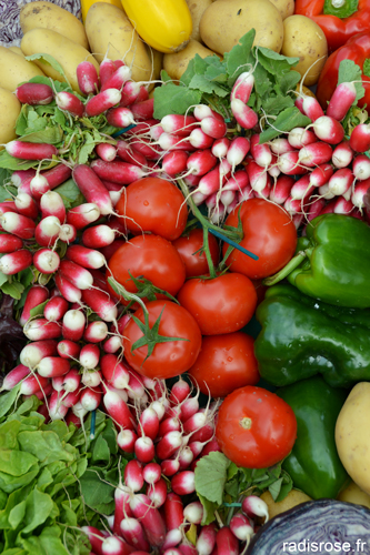 Fruits et légumes frais du marché par radis rose