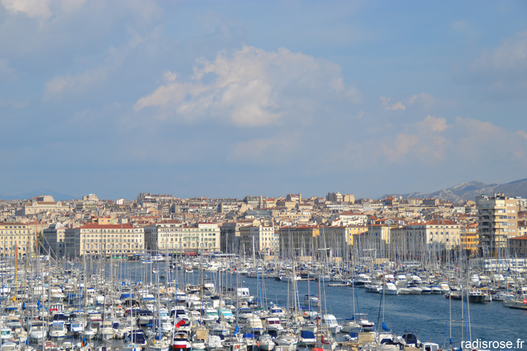 vieux port de Marseille par radis rose