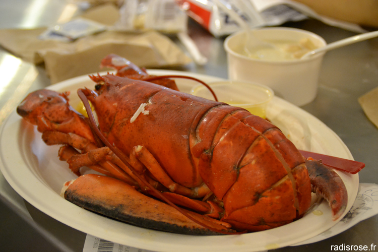 manger du homard pas cher au Lobster Place à Chelsea Market à New York par radis rose