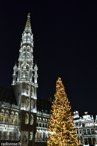 weekend à Bruxelles en décembre avec le marché de noël et les illuminations par radis rose #Noël #Noel #bruxelles