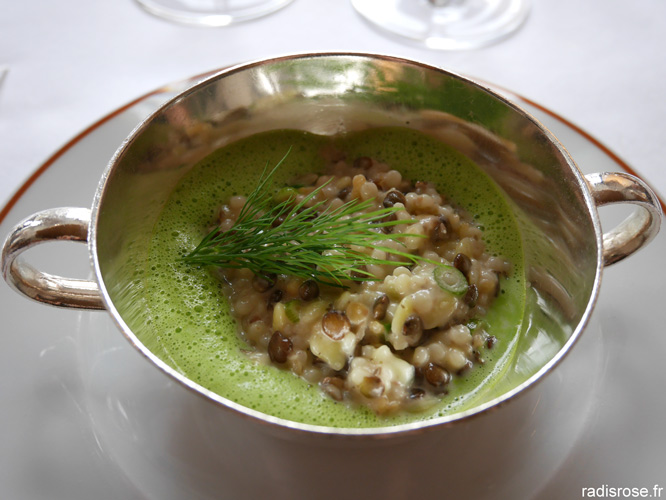 Déjeuner végétal avec les produits Tipiak, risotto blé lentilles par Alain Passard au restaurant l’Arpège par radis rose