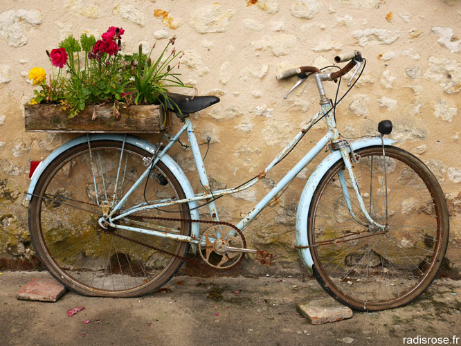 La véloscénie itinéraire en vélo de Paris au Mont Saint-Michel en Normandie par radis rose, blog voyage gastronomique