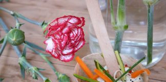 Carré Frais ail et fines herbes par radis rose, idées pour un apéritif original par radis rose