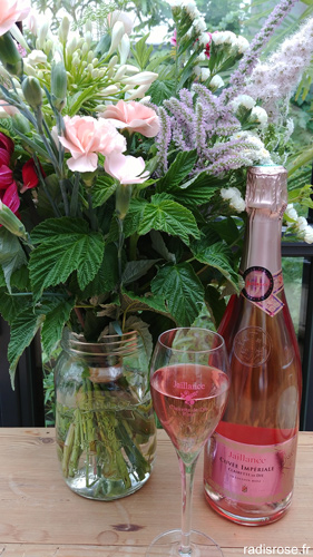 Clairette de Die Rosé Jaillance par radis rose