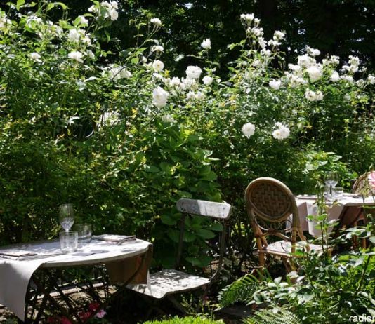 Restaurant Le Café des Artistes avec terrasse aux étangs de Corot à Ville d’Avray près de Paris par radis rose
