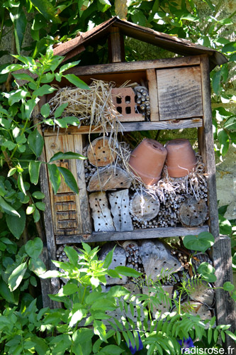Potager Caillebotte à Yerres #jardin #france #yerres #IDF #caillebotte #potager