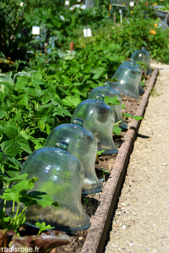 Potager Caillebotte à Yerres #jardin #france #yerres #IDF #caillebotte #potager