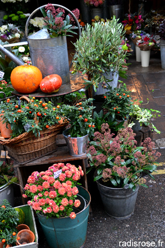 Weekend à Londres, Borough market de Londres par radis rose #londres #boroughmarket