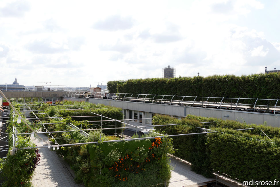 Farmhouse, agriculture urbaine, un potager sur les toits à Paris
