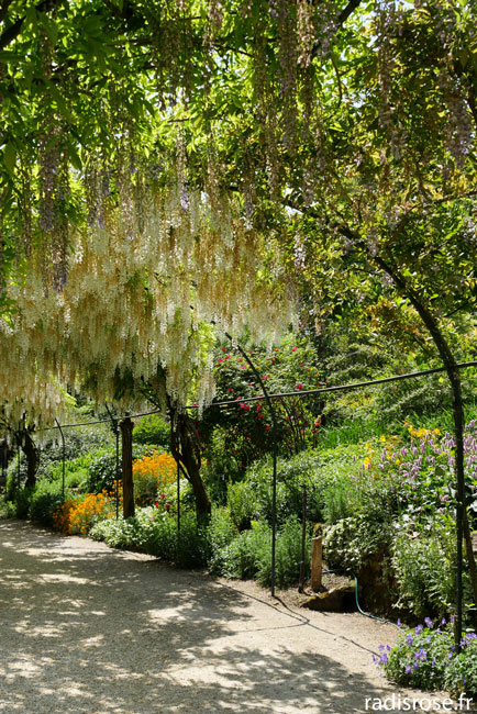 tonnelle de glycines, Le parc floral d’Apremont-sur-Allier