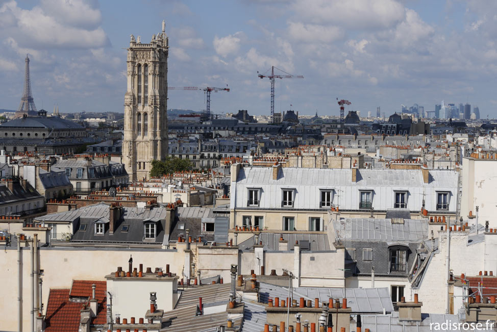 vue sur la tout Saint-Jacques, Farmhouse, agriculture urbaine, un potager sur les toits à Paris