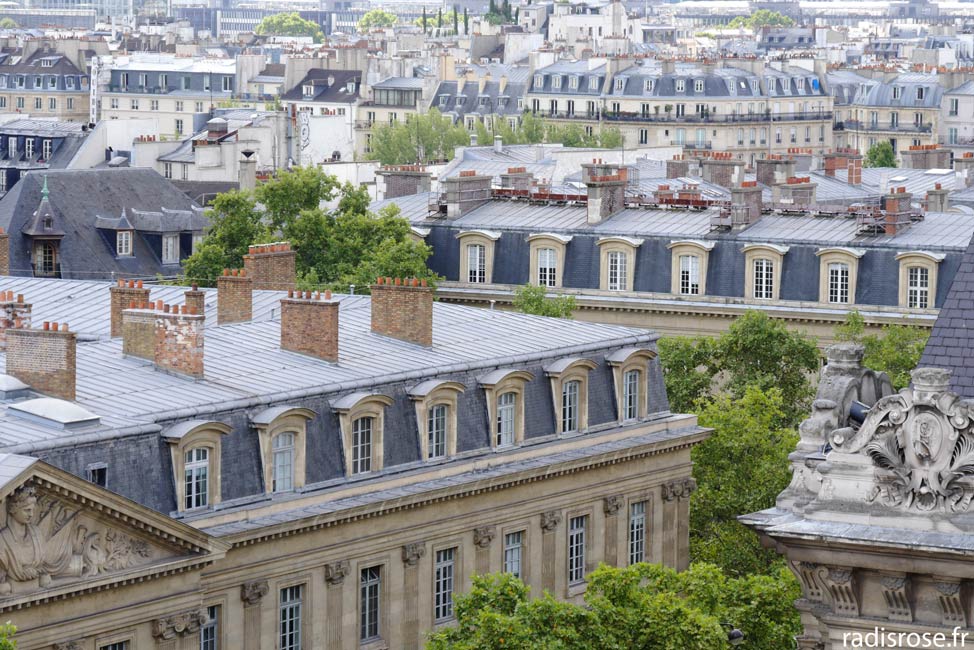 vue sur Paris, Farmhouse, agriculture urbaine, un potager sur les toits à Paris
