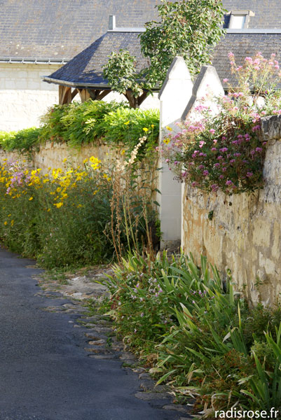 Balade dans le village de Montsoreau en bord de Loire, Les Plus Beaux Villages de France