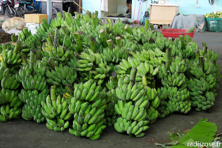 bananes, Le marché Muang Mai Market à Chiang Mai en Thaïlande