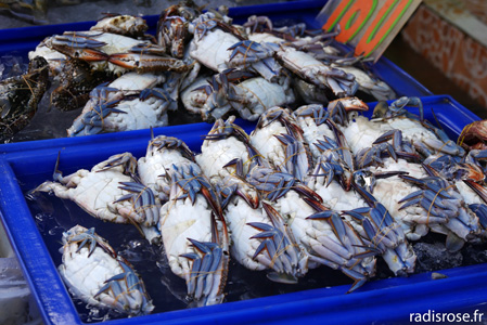 crabe, Le marché Muang Mai Market à Chiang Mai en Thaïlande