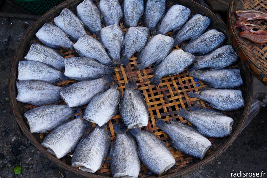 poisson fumé, Le marché Muang Mai Market à Chiang Mai en Thaïlande