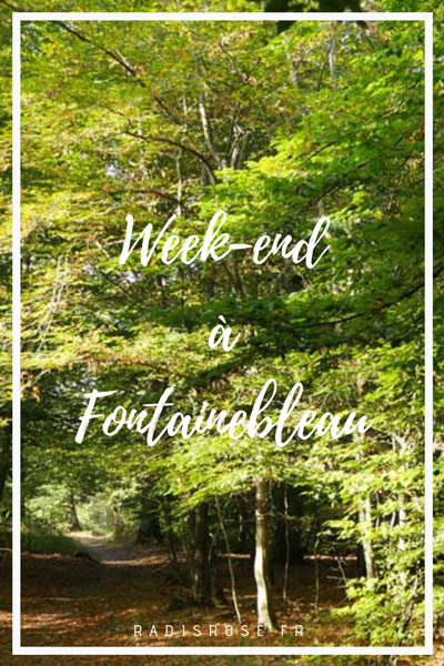 Week-end à Fontainebleau : château, forêt et détente