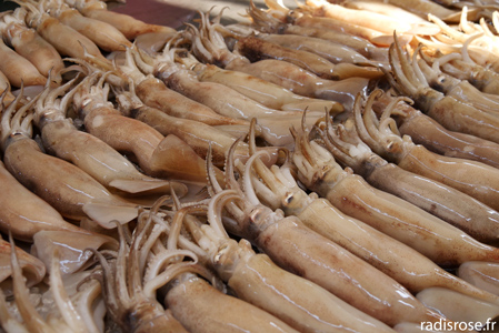 poulpe, Maeklong railway market, le marché sur la voie ferrée en Thaïlande