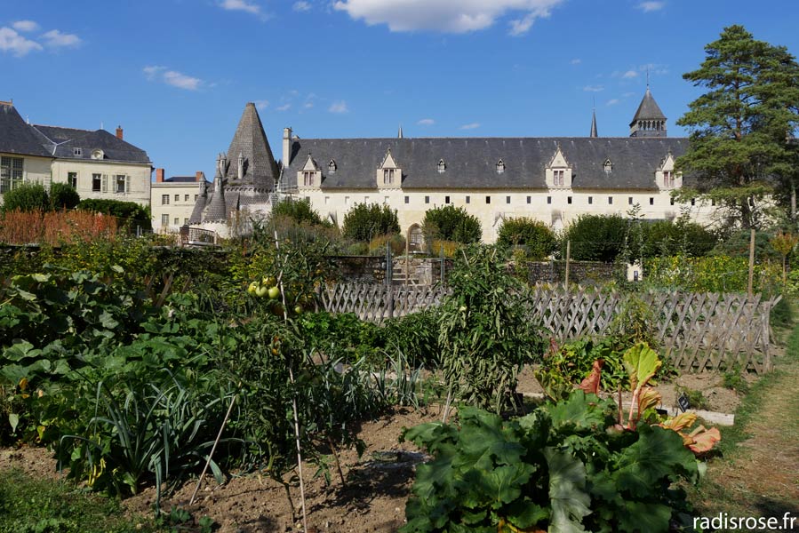 Le potager de l'Abbaye Royale de Fontevraud
