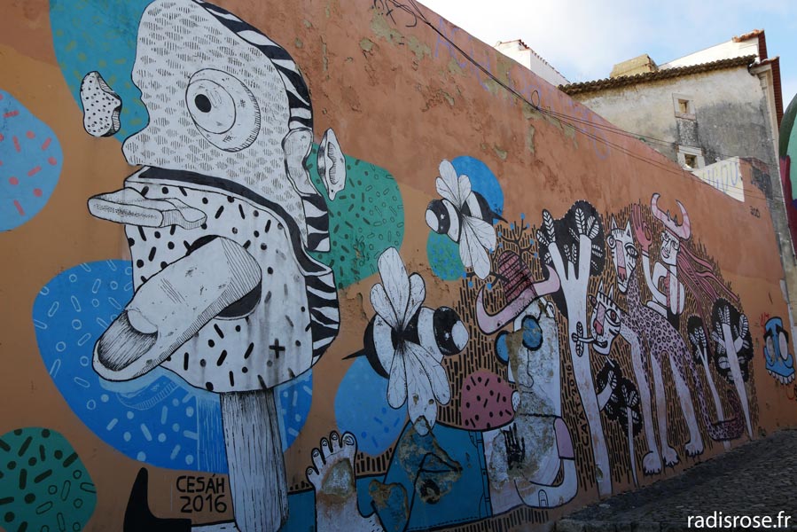 street art, Balade dans l’Alfama quartier typique de Lisbonne