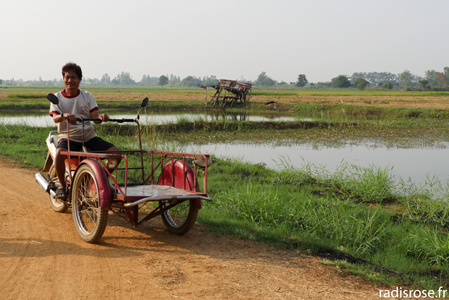 Vélo dans les rizières de Sukothai en Thaïlande