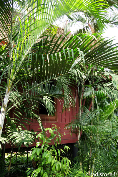 Maison de Jim Thompson à Bangkok en Thaïlande, jardin tropical
