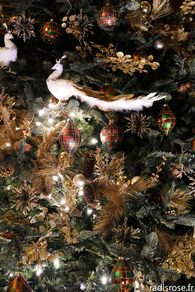 Noël aux mille et unes couleurs au château de Vaux-le-Vicomte, décoration sapin de noel