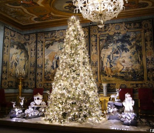 Noël aux mille et unes couleurs au château de Vaux-le-Vicomte, chateau décoré pour noel