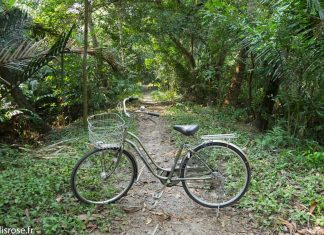Balade à vélo à Bang Kachao, le poumon vert de Bangkok en Thaïlande