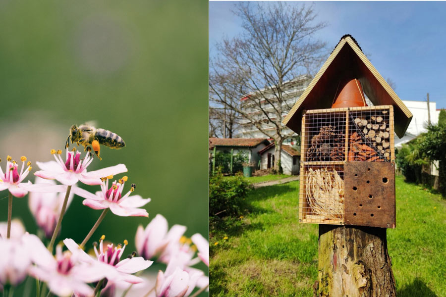 Tuto : comment fabriquer hôtel à insectes pour le jardin