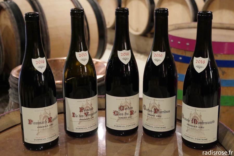 Week-end à Beaune en Bourgogne, Déguster des vins de Bourgogne